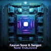 Sonic Endurance - Futurum Sonat&Bengani