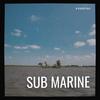 Sub Marine - Everfish&Kieran Ryan