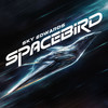 Spacebird - Sky Edwards