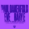 What's Your Love Like (其他|Hollaphonic Remix) - Paul Oakenfold&Eve&Baby E