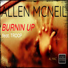 Burnin Up (radio edit) - Allen McNeil&Troop