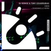 Viben (divaDanielle Remix) - DJ Denise&Tony Covarrubias&divaDanielle