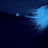 Blue Sun - Vector