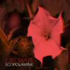 Scopolamine (Explicit) - Ciecmate