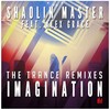 Imagination (Frank Dueffel Radio Mix) - Shaolin Master