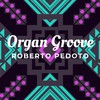 Organ Groove - Roberto Pedoto