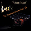 Picture Perfect (Live Mountain Sessions June '23) - Bassix