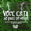 VOCÊ ESTA NO BAILE DO MORRO (Explicit) - DJ Lobão ZL&DJ Nog&MC D20&Dj Matheus da Sul