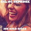 Ice Cold Disco - Klaus Benedek