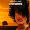 Silent Teardrop - Elements Of Dawn&Laurence Harrison