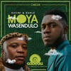 Moya Wasendulo (Edit) - Kusini&Kuhle