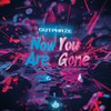 Now You Are Gone (Hardstyle Cover) - X-hall&OutPhaze&X-Hard