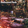 Redwood Park - The Delirious Artist