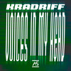 Voices in My Head - Kradriff