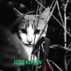 Just Kitten - Dan The Man&KITTER