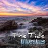 The Tide - BITwinLines