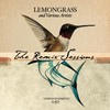 Stuck on You (Lemongrass Samba De Sol Remix) - Michiko