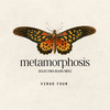 Metamorphosis (Electro Bass Mix) - Virgo Four