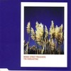 The Everlasting (其他) - Manic Street Preachers