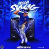 Groovy Swag (Radio Edit|Explicit) - JadenSoGroovy