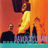 Jean the Birdman - David Sylvian