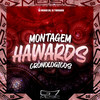 Montagem Hawards Cronológicos (Explicit) - DJ MENOR DS&DJ TwoDark