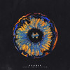 Look in My Eyes - Hallman