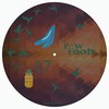 Northenlight - Drastic Duo
