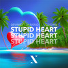 Stupid Heart - Devinity&RAIKO&CZYDMN
