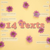 14 Texts - Shoffy&Alex Shofler&Camden Cox&Jordan Shaw&Wille Tannergard