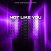 Not Like You - Contiez&Christian Meldal&MAASSIVE