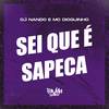 Sei Que É Sapeca (Explicit) - Dj Nando&Mc Dioguinho