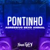 Pontinho Agressivo Sexo Animal (Explicit) - DJ KAIQUE RYAN&FreesTyle Sounds&MC GW