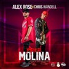 Yadier Molina (Explicit) - Alex Rose&Chris Wandell
