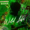 WilD Life Freestyle - Stunner Bizzle