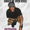 ginger me OPEN VERSE \Instrumental (Explicit) - Pater Kush