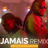 Jamais Jamais (Remix) - Mr Leo&Flavour&Fonyuy Nsobunrika Leonard