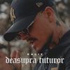 Deasupra Tuturor - Kalif