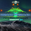 Northern Ways (Sienis Remix) - Wizack Twizack&Sienis