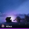 Petals - Miro