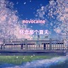 novocaine（怀念那个夏天） - 你说我听着呢