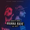 Wanna Rave - Enrico D'Amico&Weezy