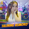 Talining Asmoro - Diva Hani&Royal Music