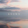 Known - The Dramatics