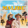 Malibu (Nothing But Funk Remix) - Patric Pleasure&Nothing But Funk&Bob Spring