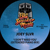 I Don't Need You (Piano Edit) - Joey SLVR