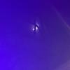 dissociation (Explicit) - Renz