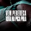 VEM PERERECA, XOTA NA PICA PULA (feat. MC NOKA & MC DUDU) - Dj Vitin 2D&Mc Noka&MC Dudu