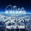 Sitting On Top Of The World - Pricey&Parris Calling