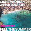 Feel the Summer (Sidney Housen French House Mix) - Sidney Housen&Pragmatico